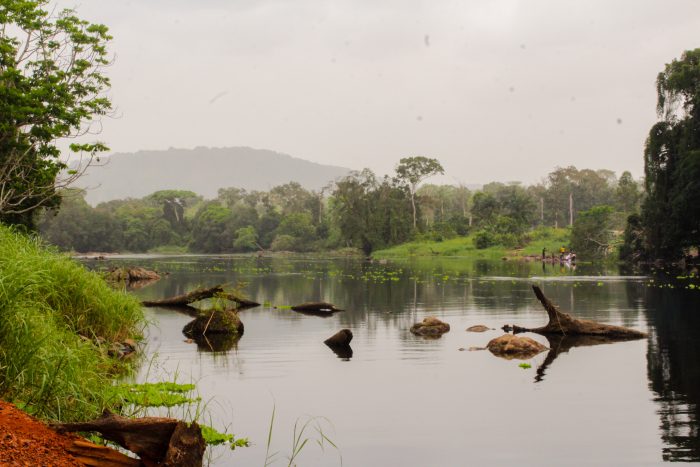 Preliminary Engineering for 125m Dual-Carriage Way Bridge across River Nepoko at Bolebole in DRC